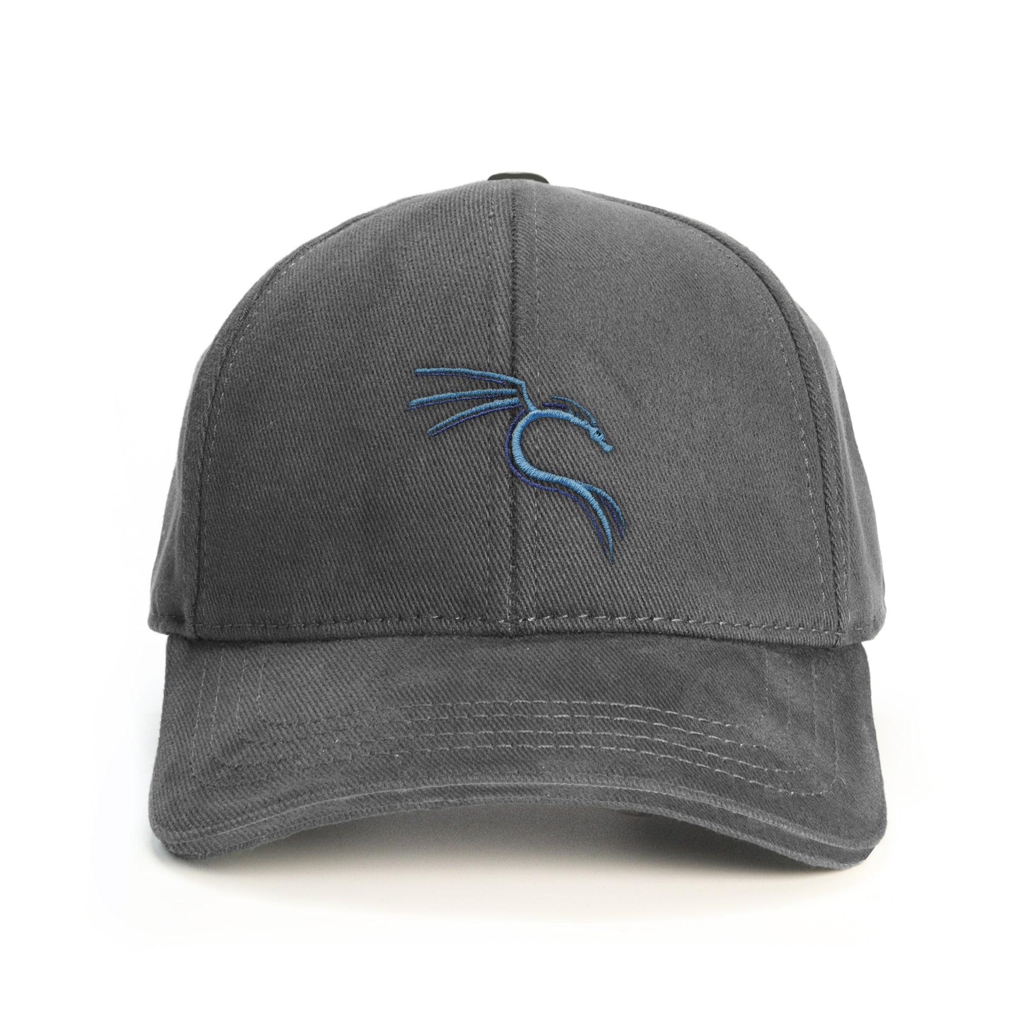 Kali Linux Dragon Baseball Şapka - gri