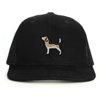 Beagle Snapback Şapka - siyah